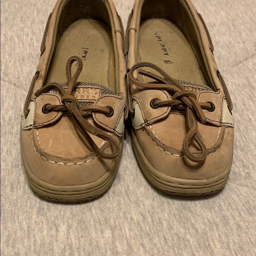 Sperry Angelfish